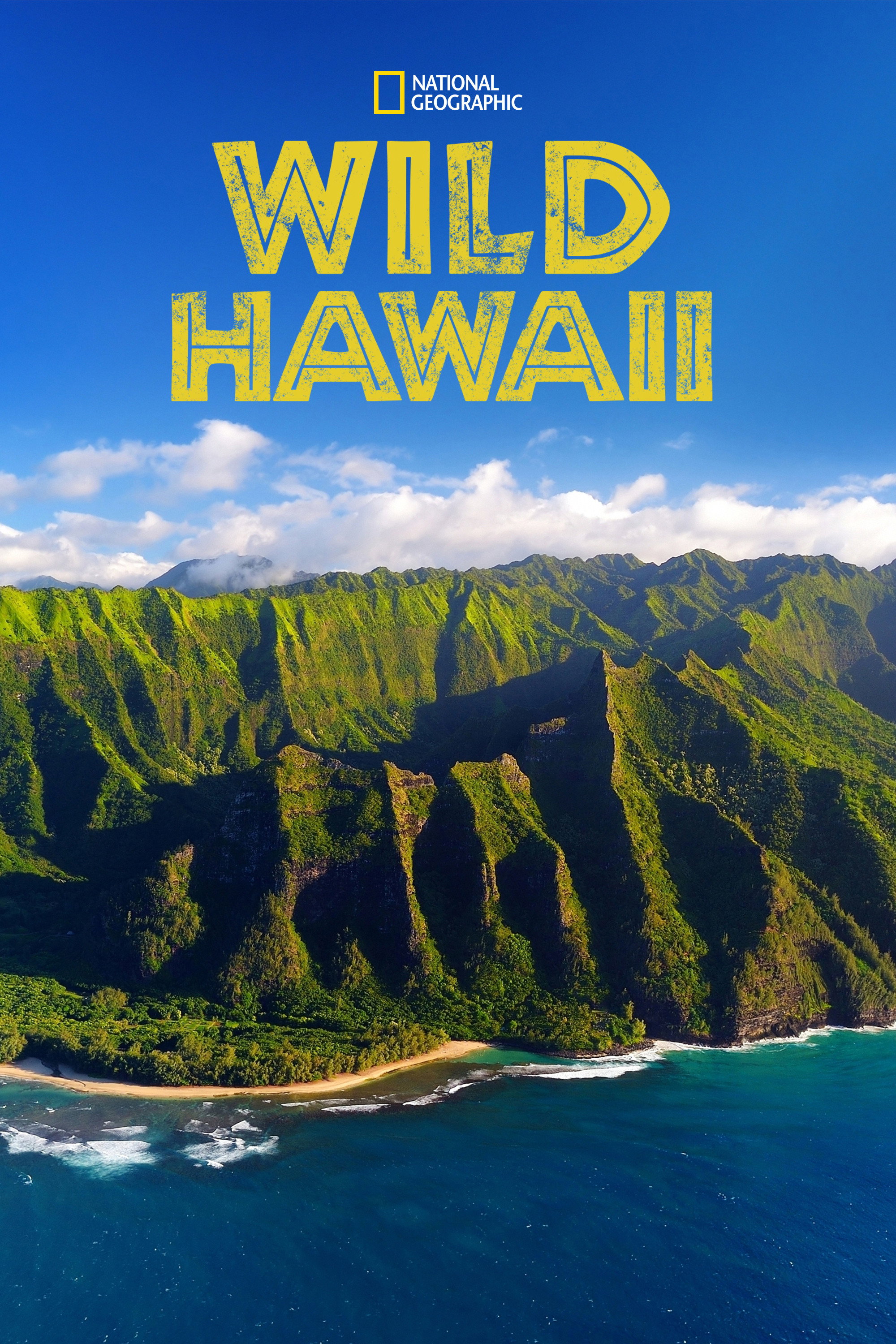 Wild Hawaii (2014) poster