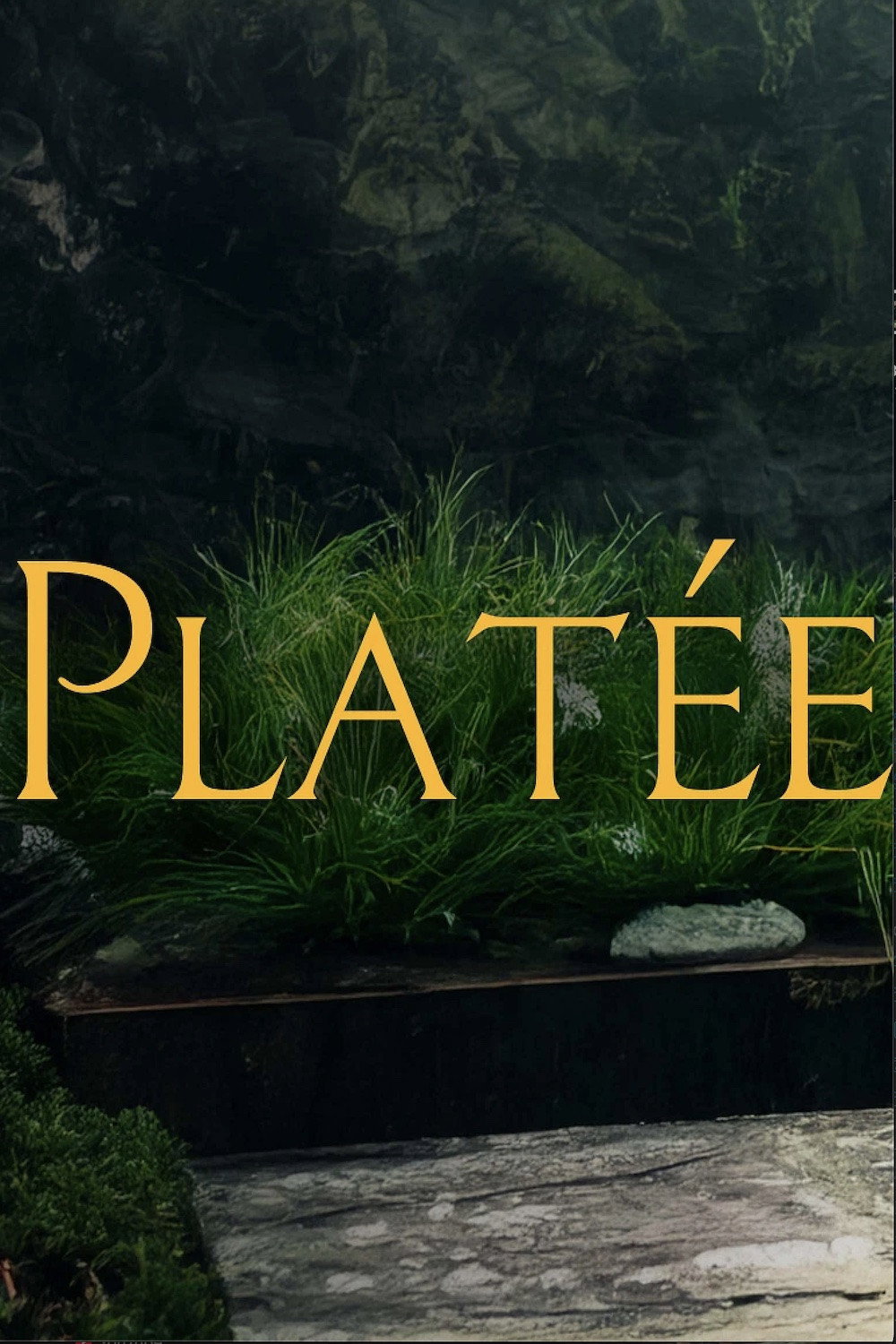 Platée (2025) poster
