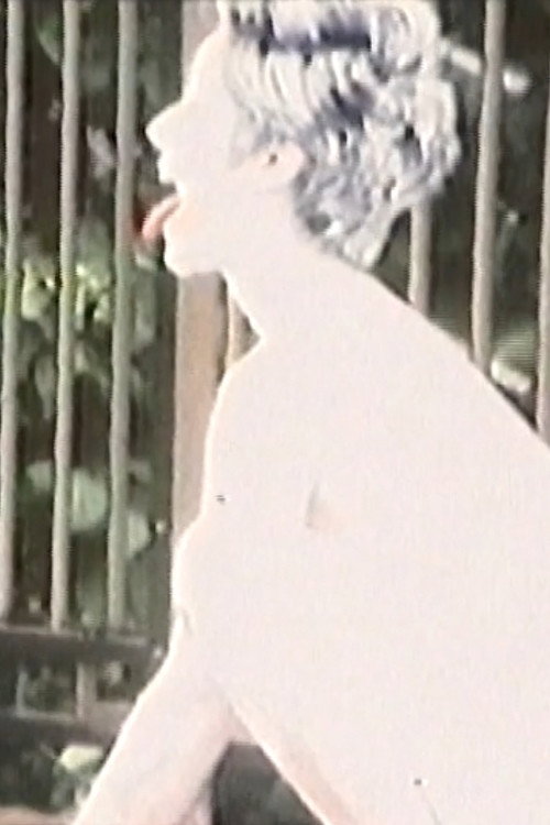 The reason why I do not eat meat I (2002) poster