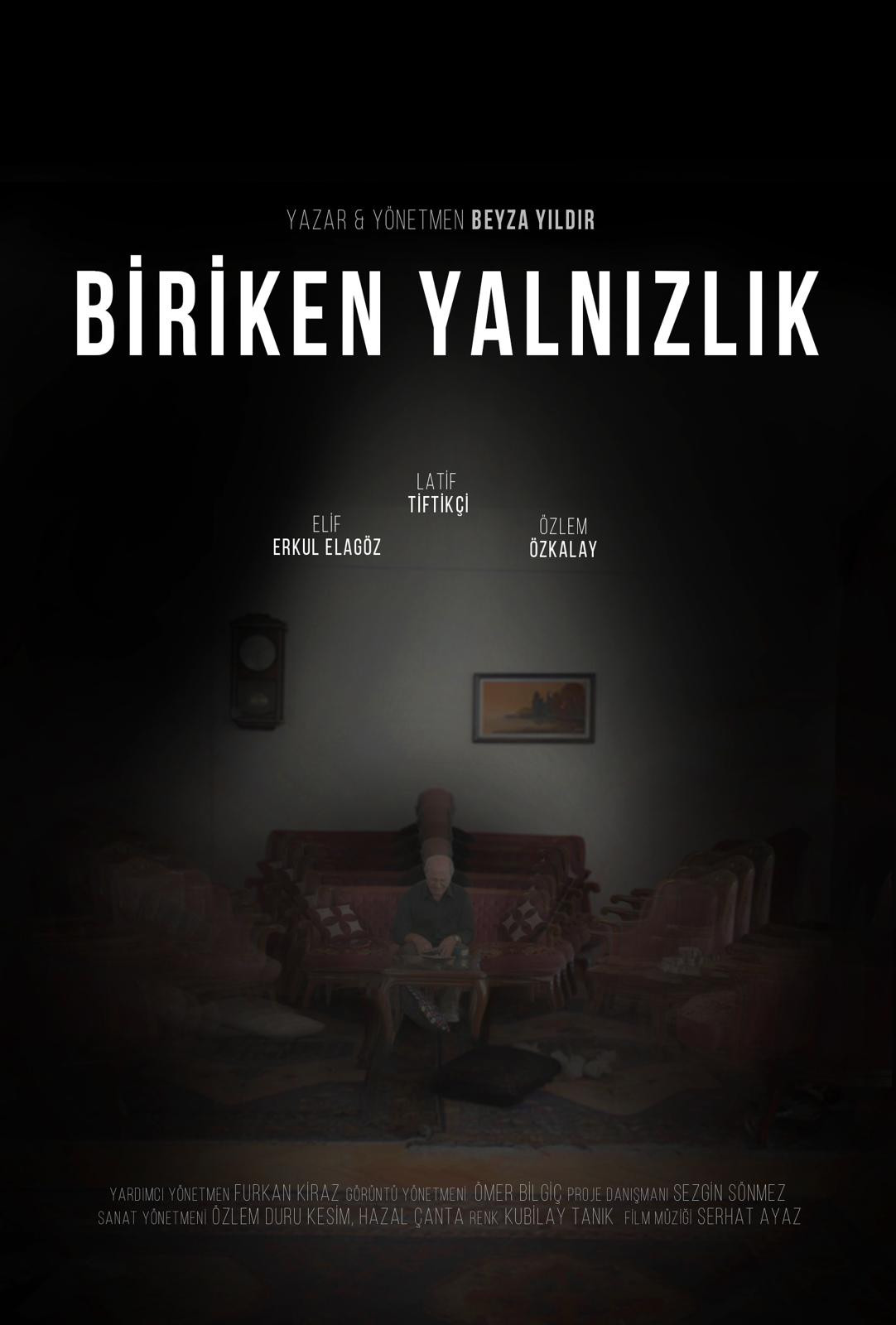Biriken Yalnızlık (2026) poster