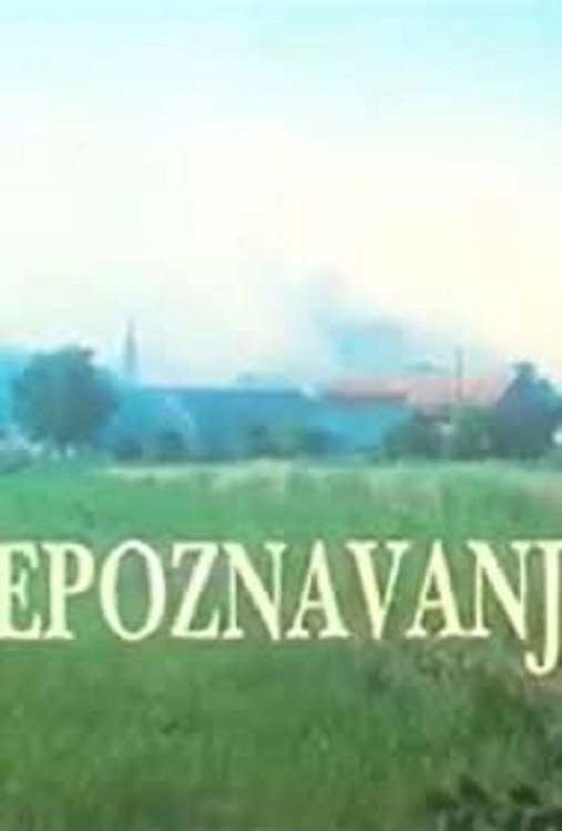 Recognition (1996) poster
