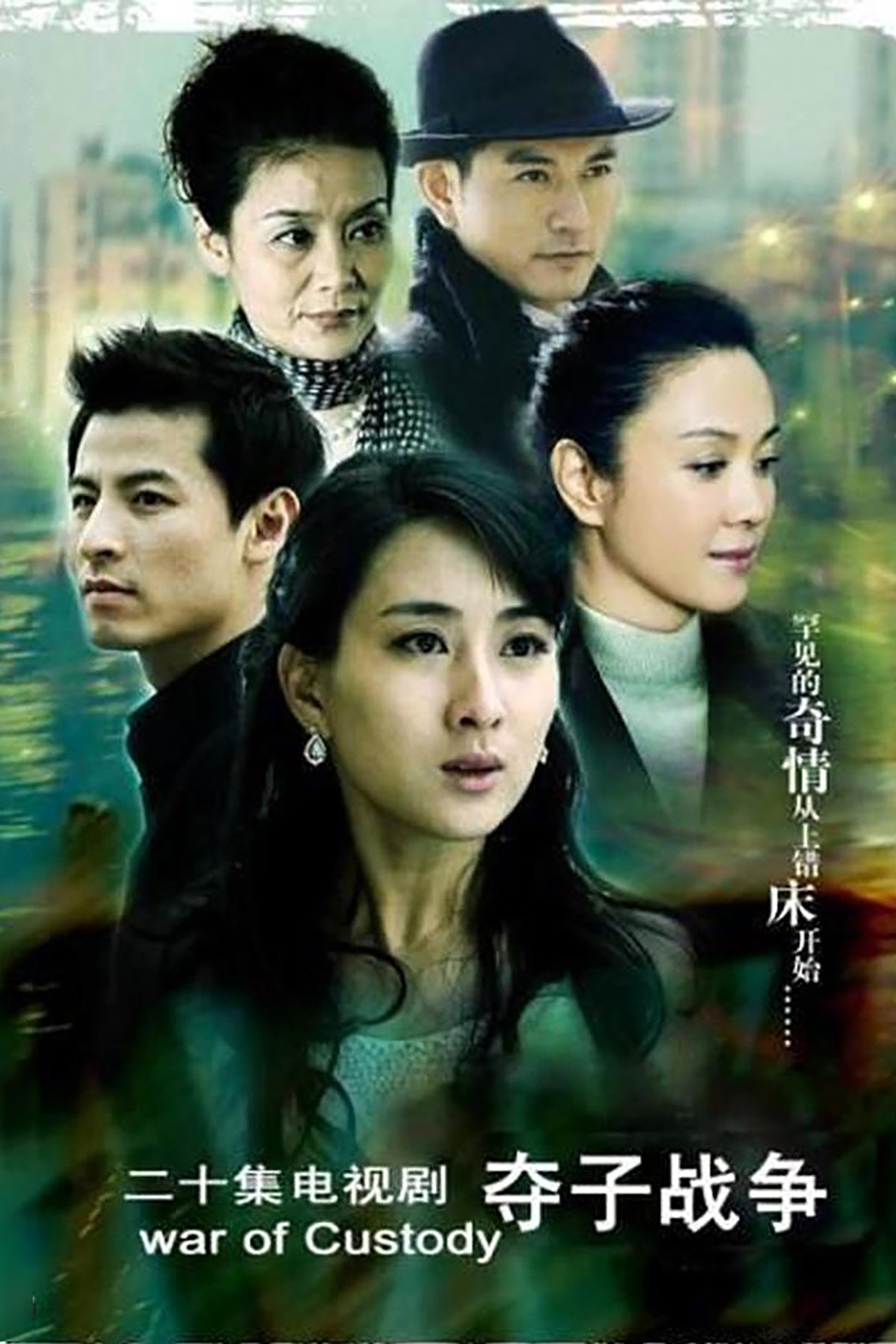 妇道之夺子战争 (2009) poster