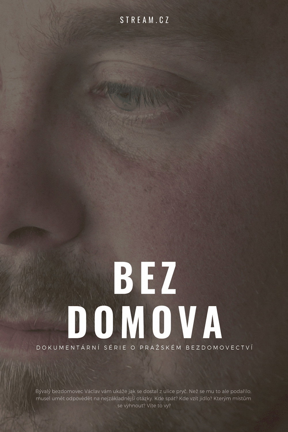 Bez domova (2019) poster