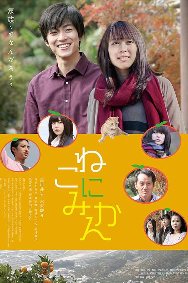 Tangerines on Cat (2014) poster