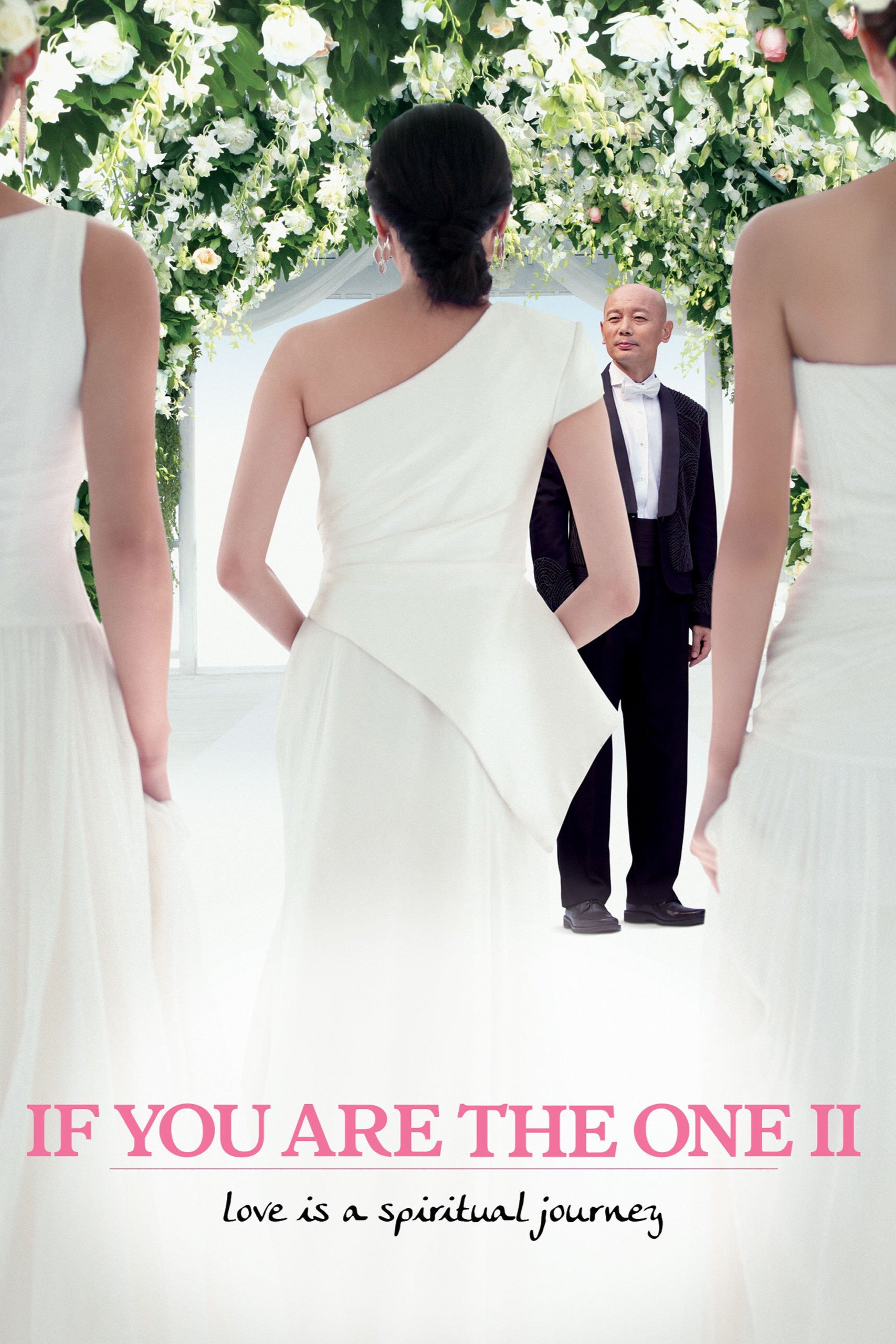 If You Are the One 2 (2010) poster
