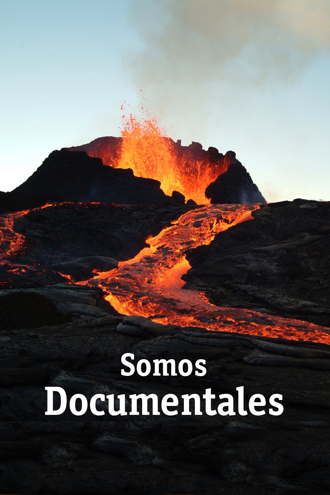 Somos Documentales (2010) poster