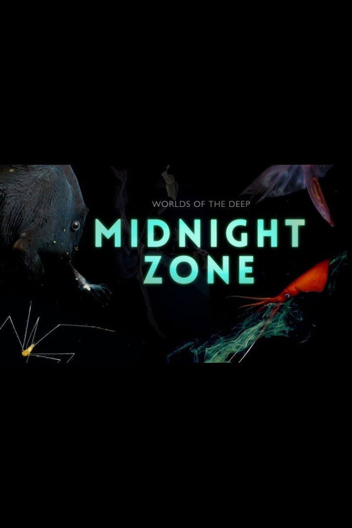 Into the Midnight Zone (2024) poster
