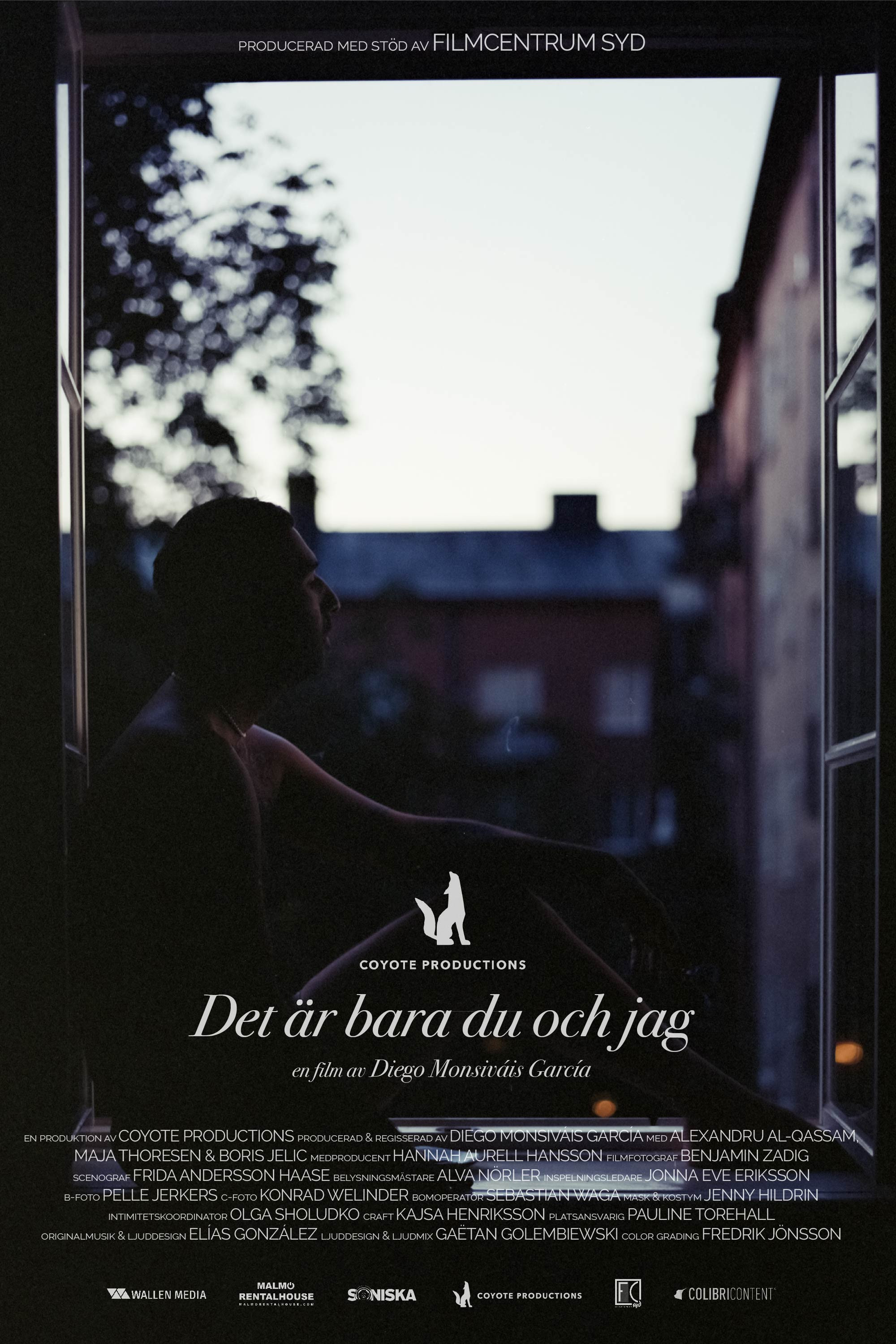 Det är bara du och jag (2024) poster