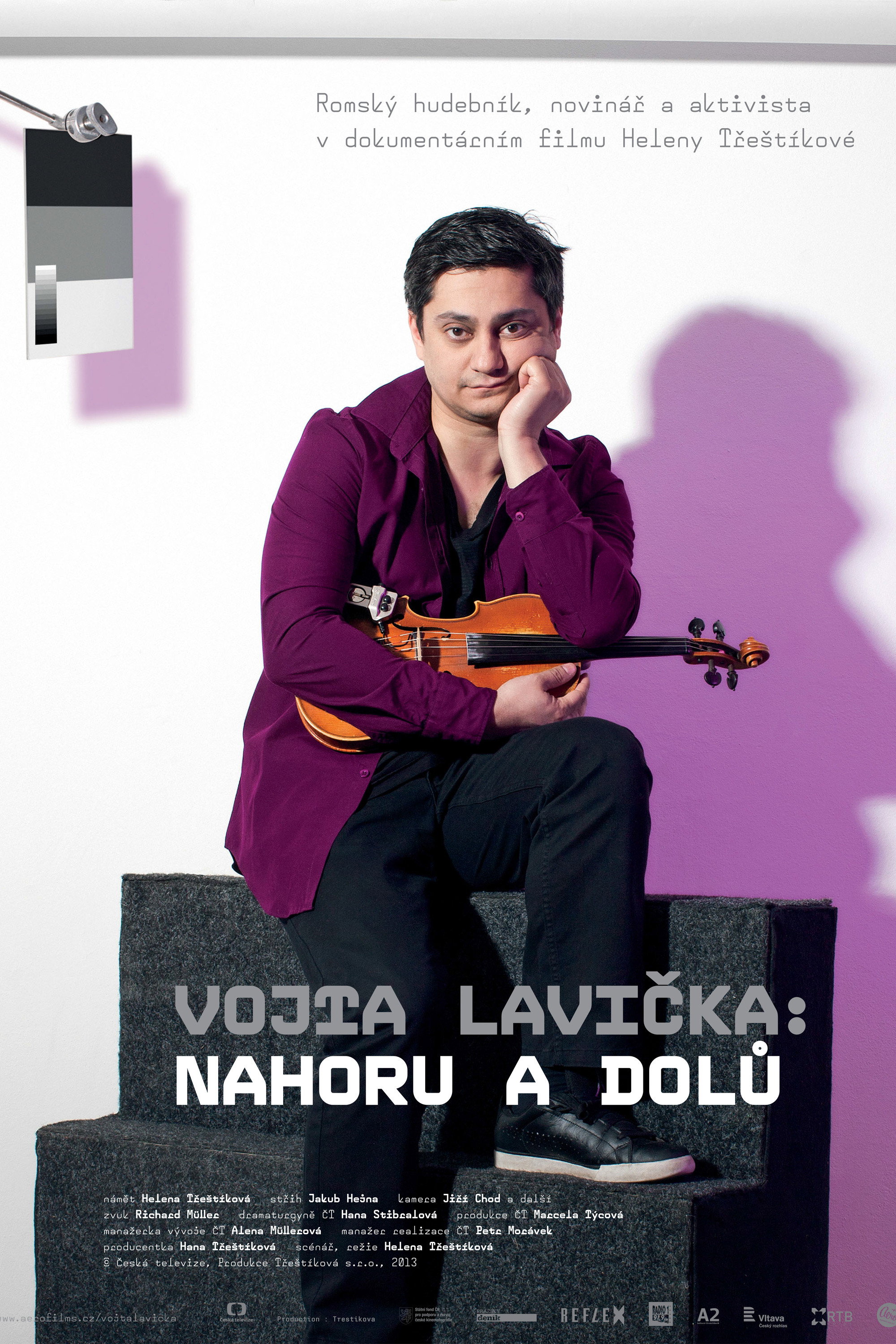Vojta Lavička: Ups and Downs (2013) poster