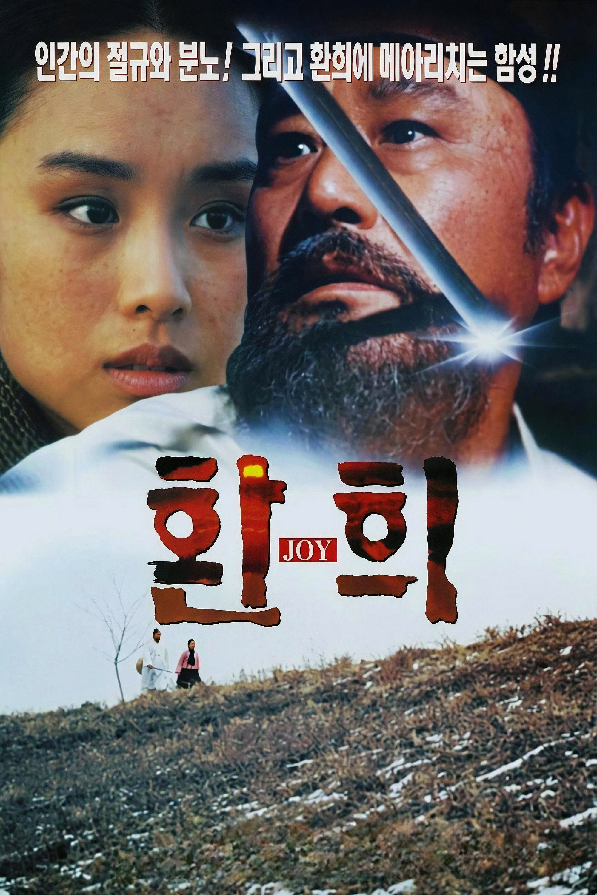 Joy (1996) poster