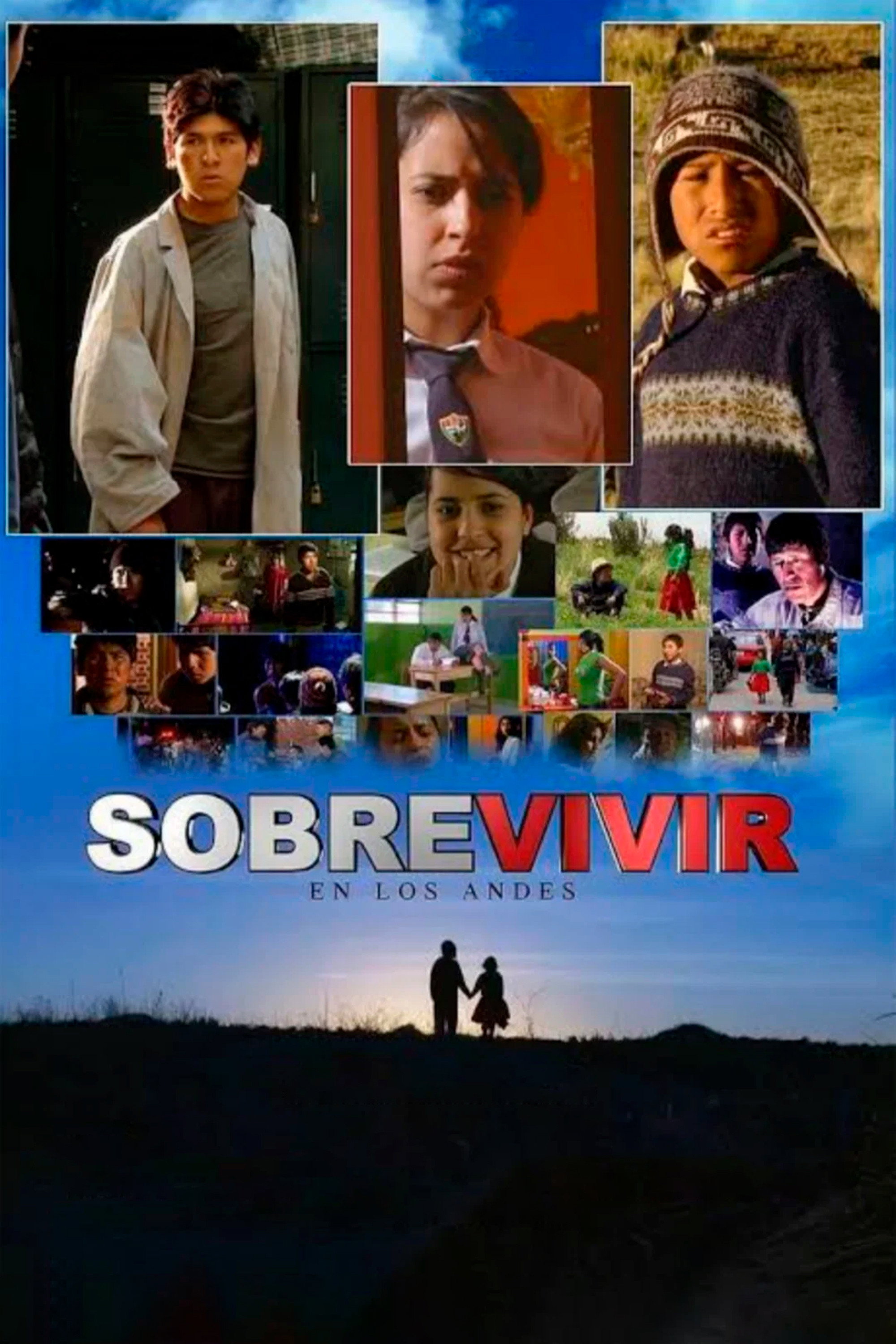 Sobrevivir en los Andes (2010) poster