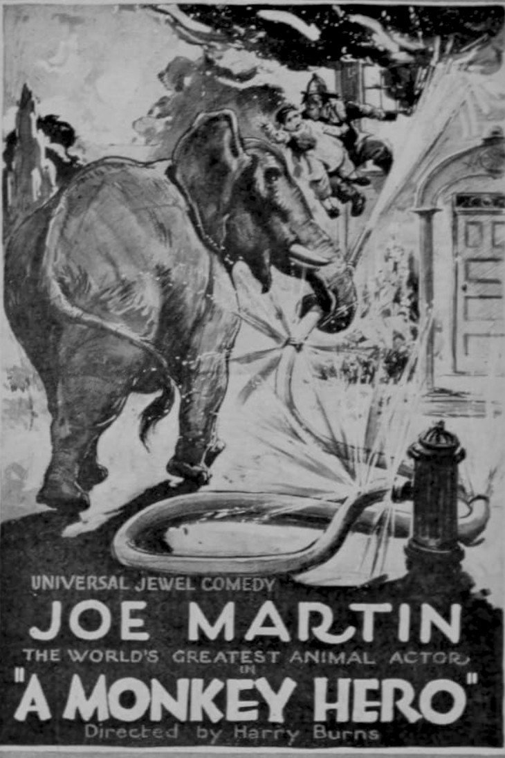 A Monkey Hero (1921) poster