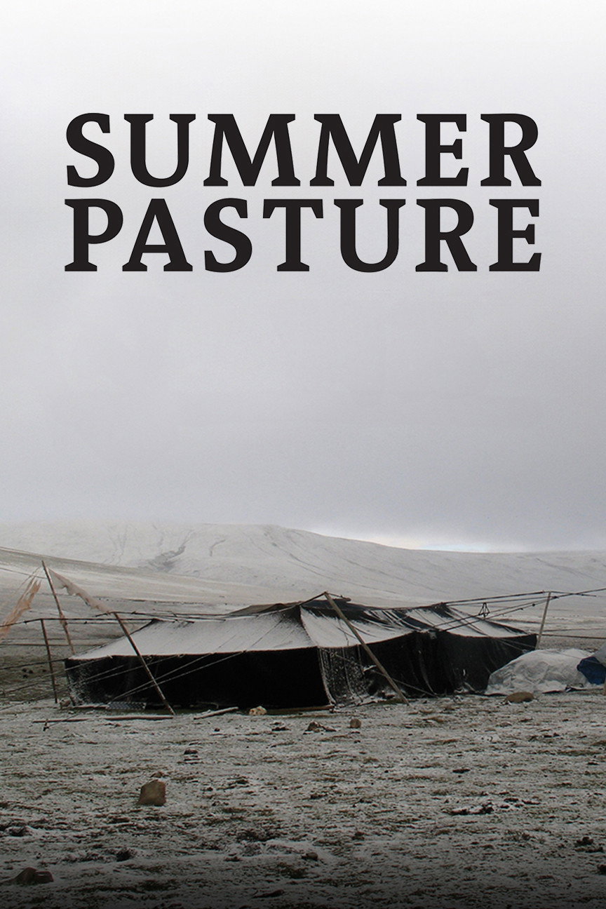 Summer Pasture (2011) poster