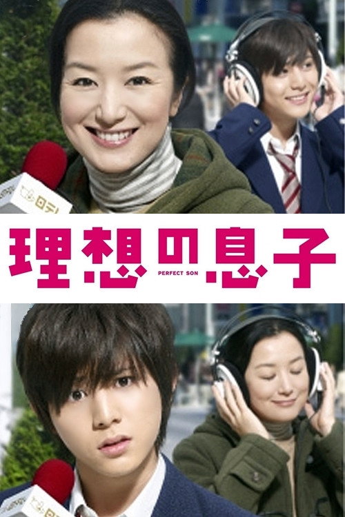 Perfect Son (2012) poster