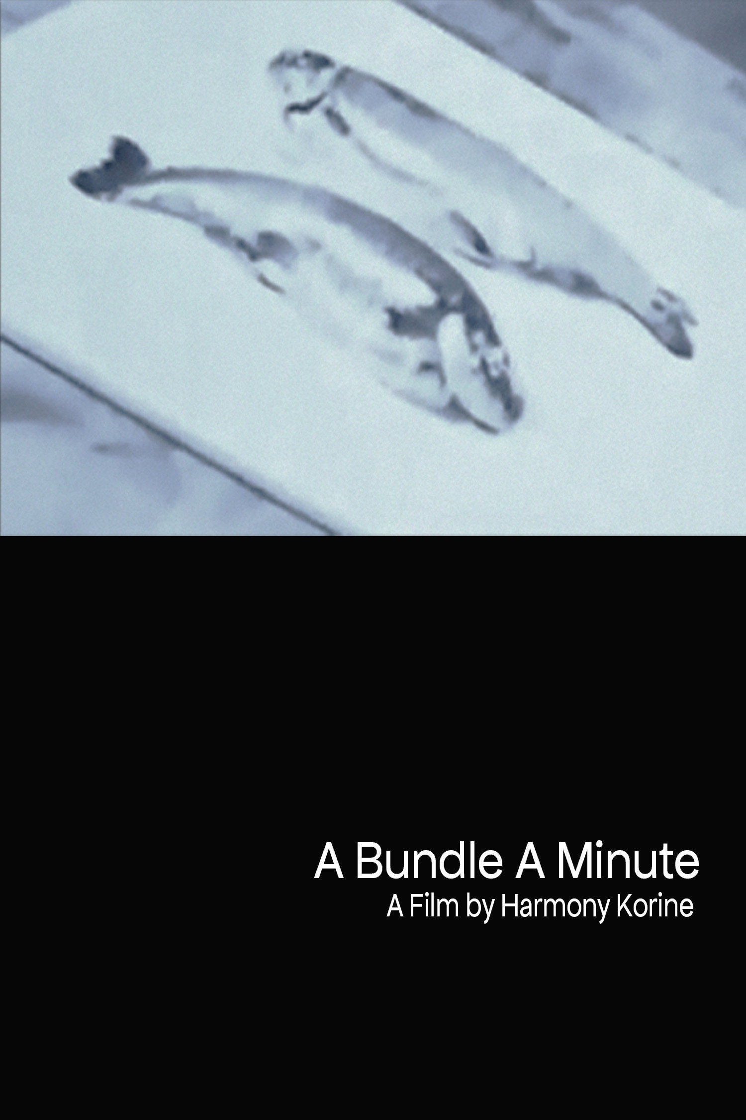 A Bundle A Minute (1991) poster