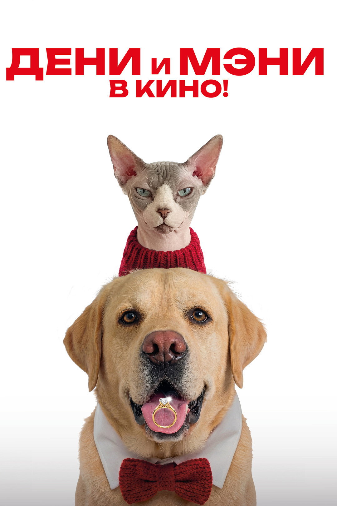 Дени и Мэни. В кино! (2026) poster