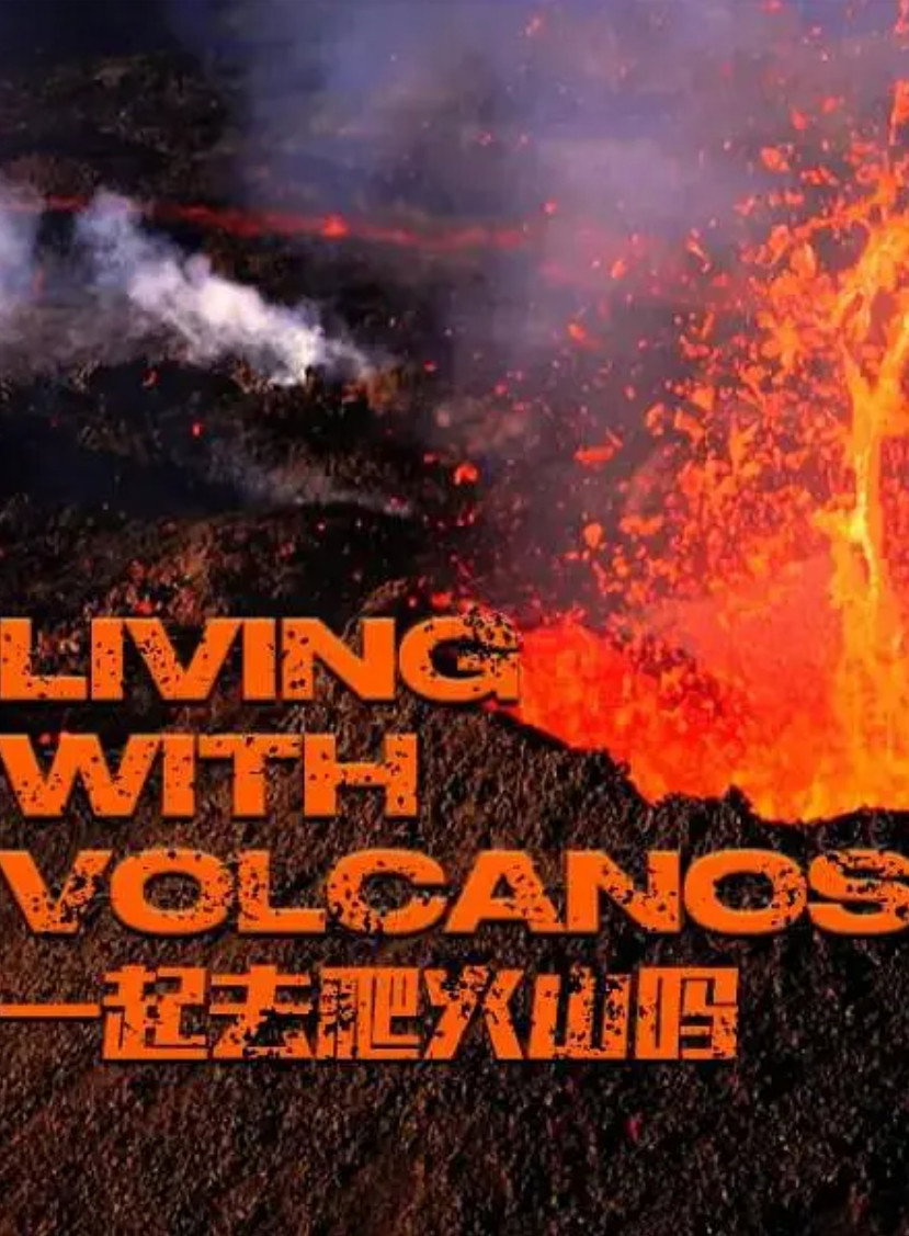 Living with Volcanoes (2019) poster