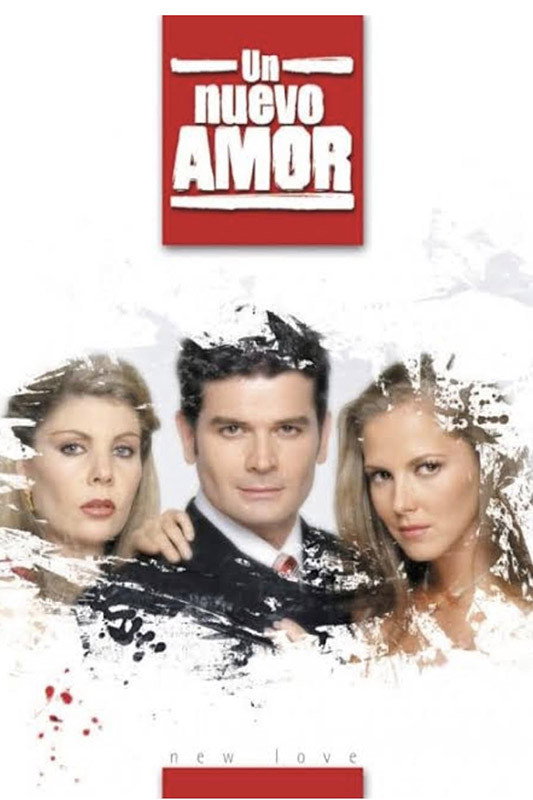 Un nuevo amor (2003) poster