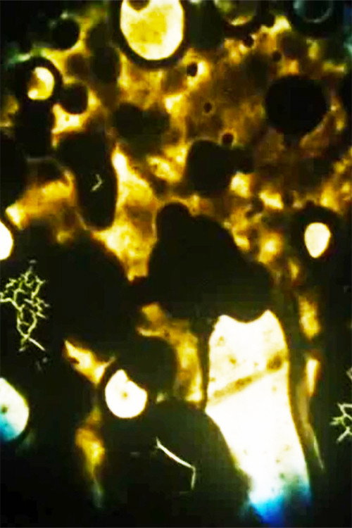 Microbes (1990) poster