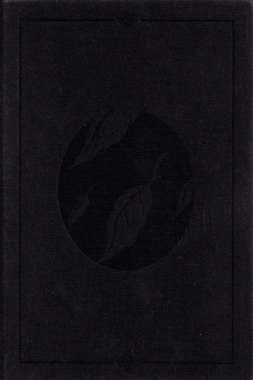 Clandestine (2003) poster