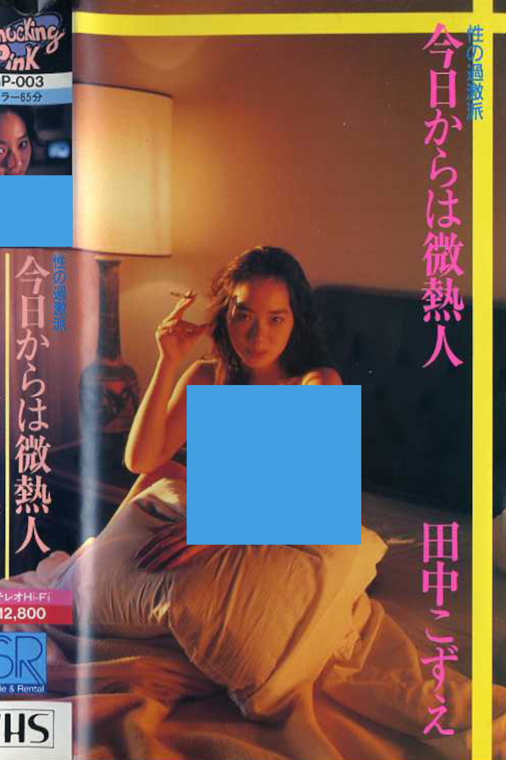 Tanaka kozue-sei no kageki-ha kyō kara wa binetsu hito (1987) poster