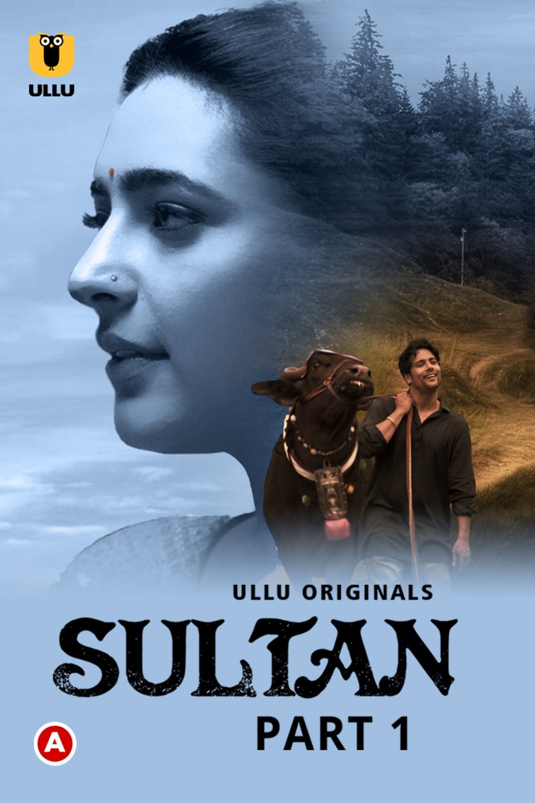Sultan (2022) poster