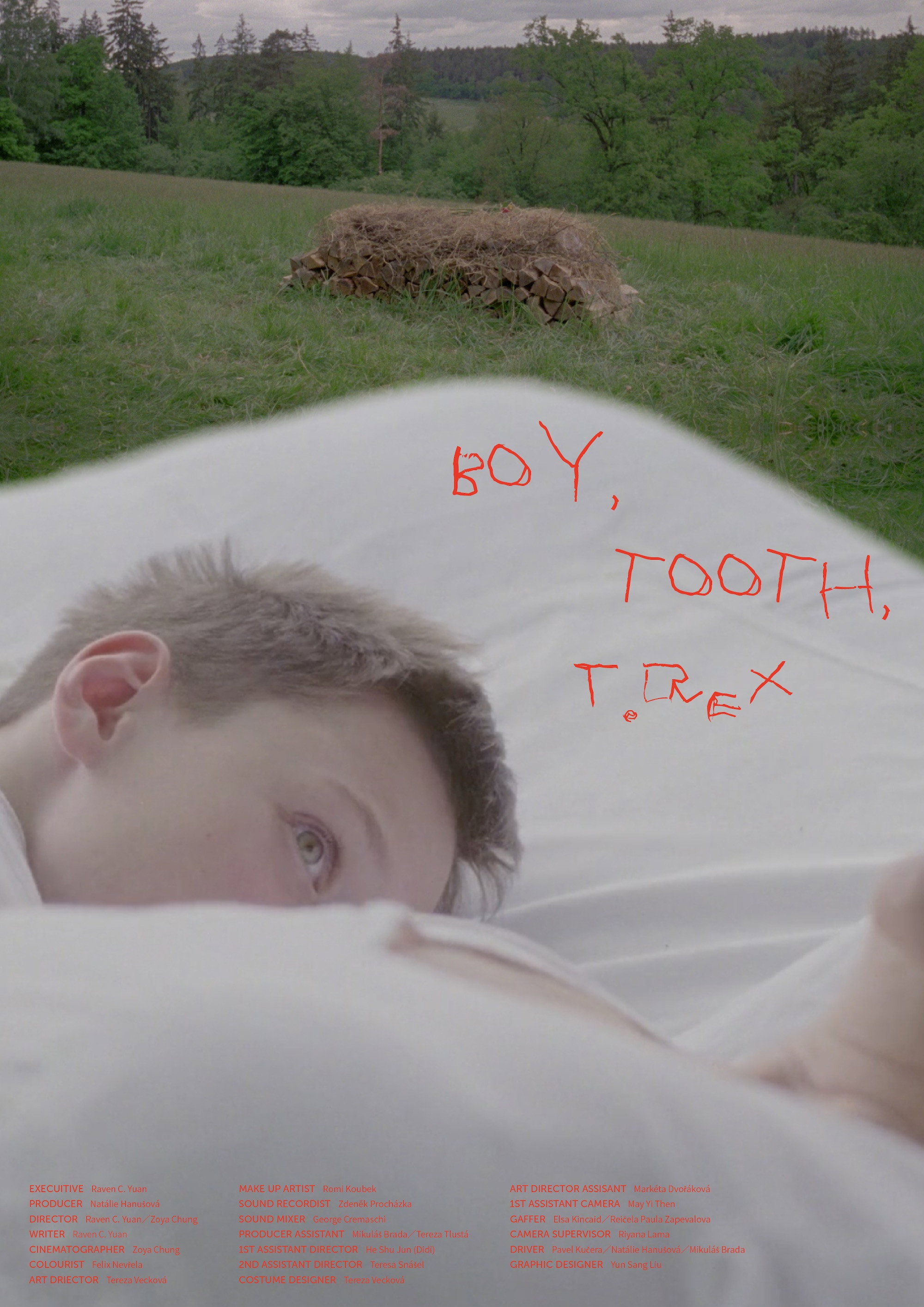 Boy, Tooth, T.Rex (2026) poster