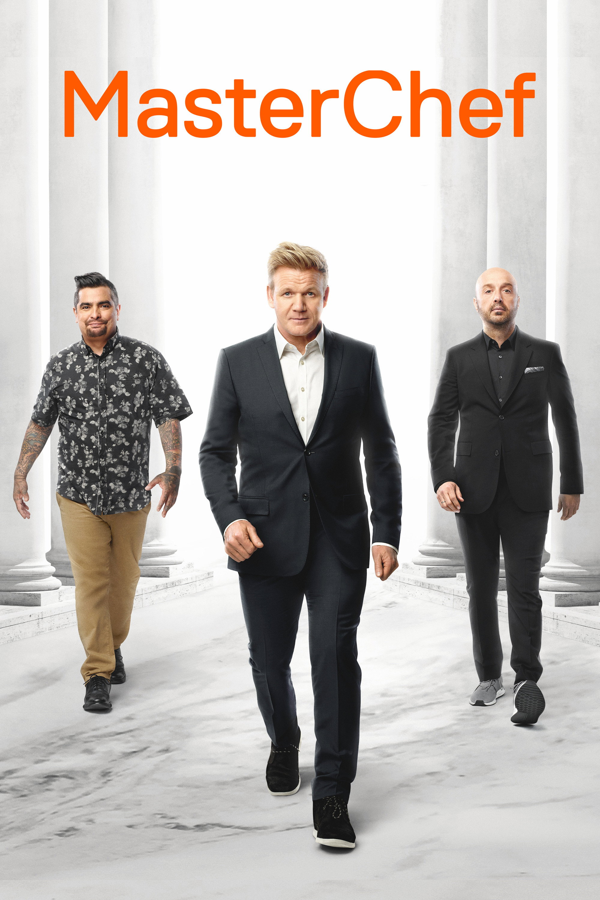 MasterChef (2010) poster