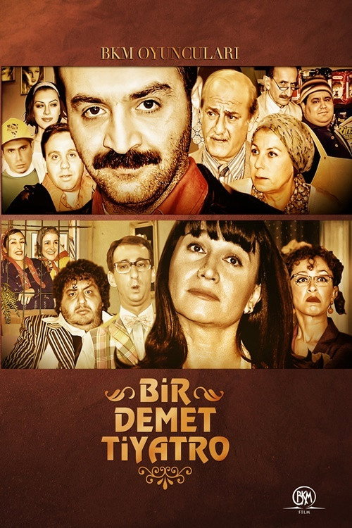 A Bunch Of Theatre (1995) poster