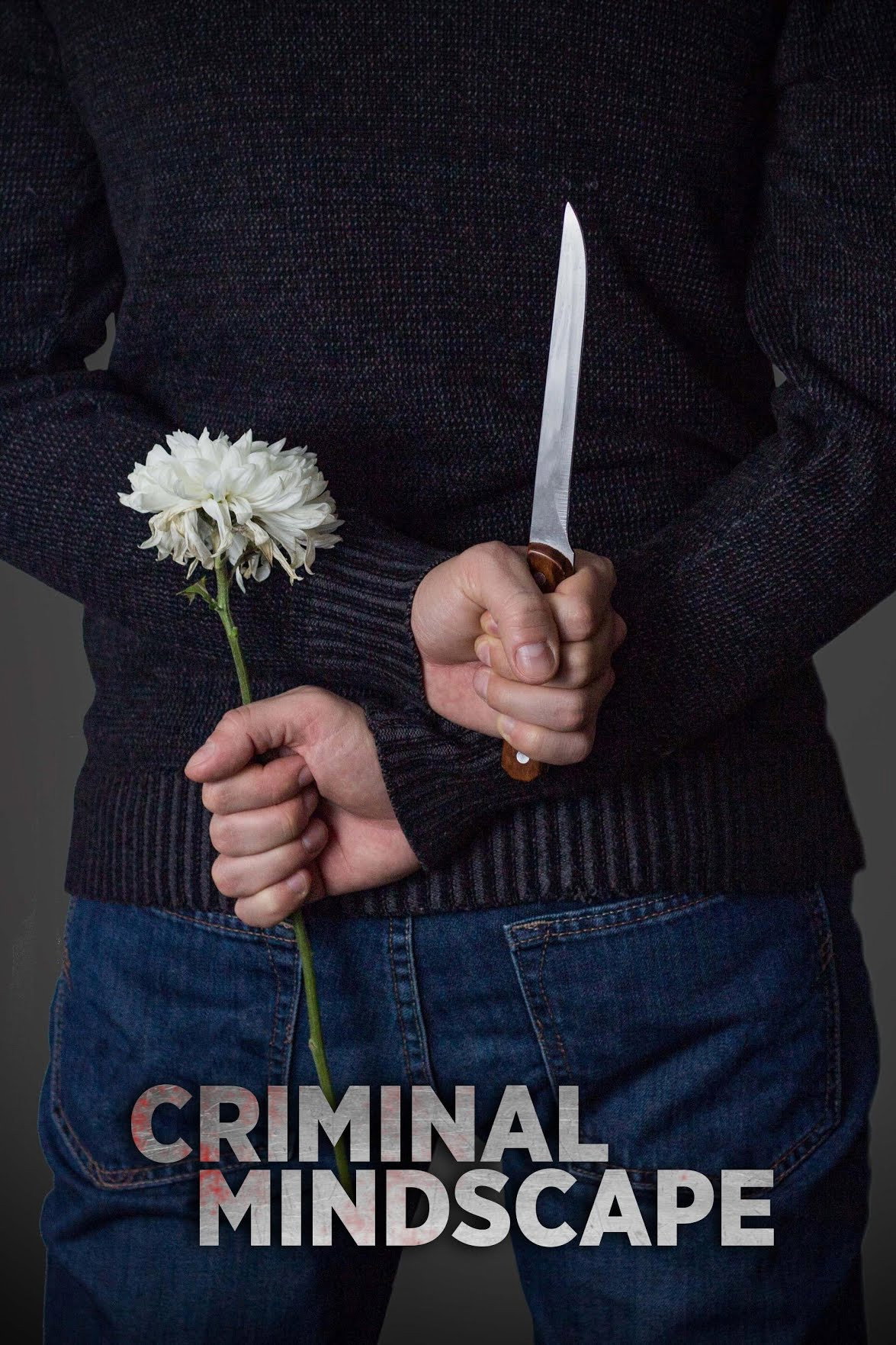Criminal Mindscape (2026) poster
