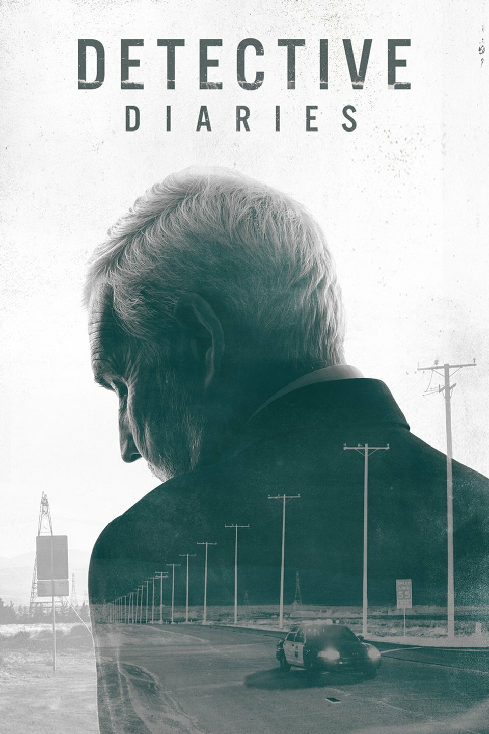 Detective Diaries (2021) poster