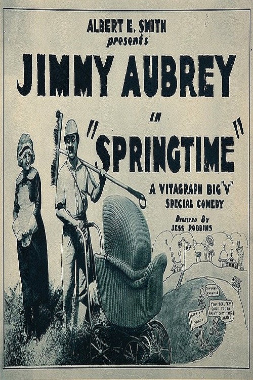 Springtime (1920) poster