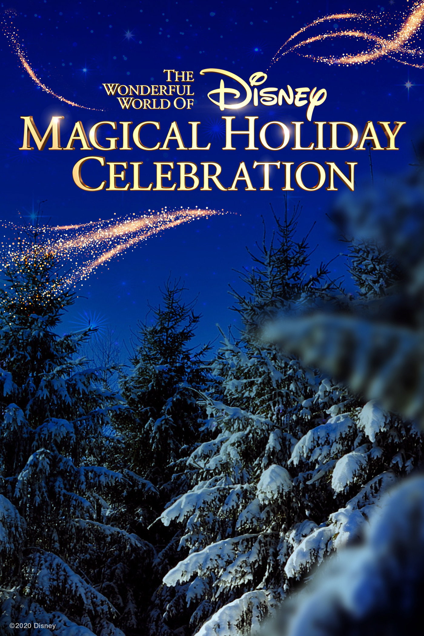 The Wonderful World of Disney: Magical Holiday Celebration (2020) poster