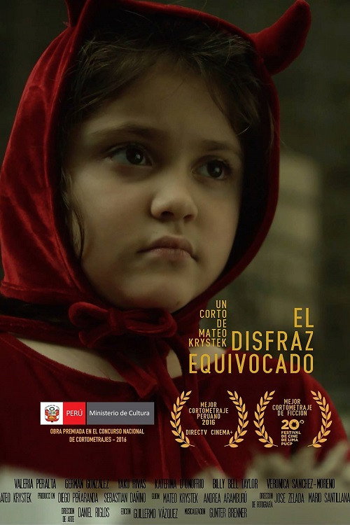 The Wrong Disguise (2016) poster