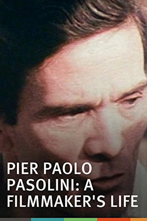 Pier Paolo Pasolini: A Film Maker's Life (1971) poster