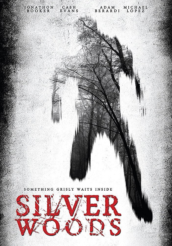 Silver Woods (2017) poster