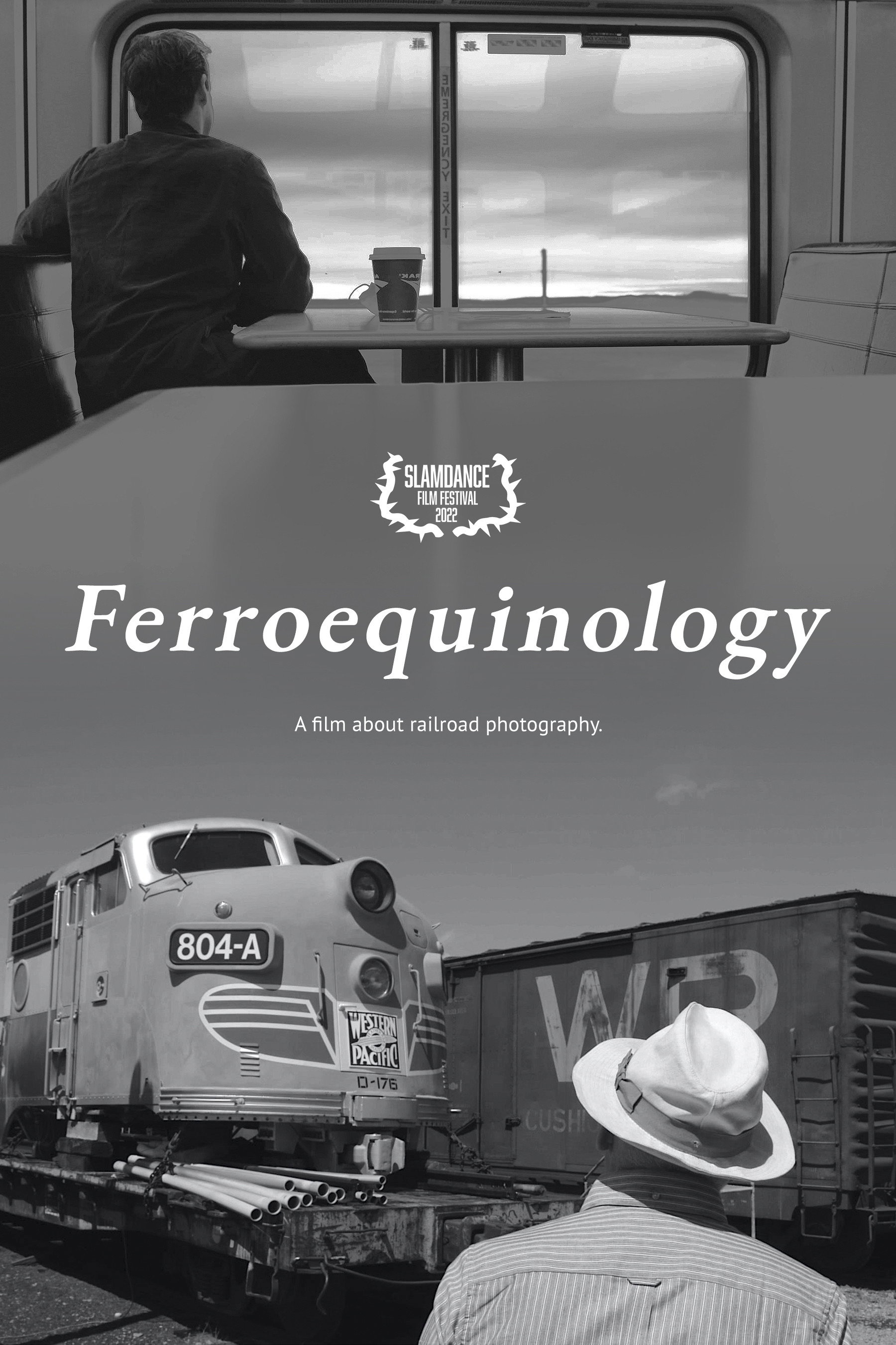 Ferroequinology (2021) poster