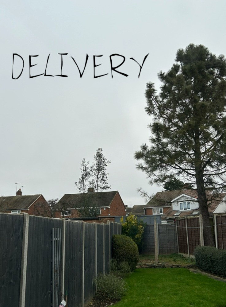 Delivery (2024) poster