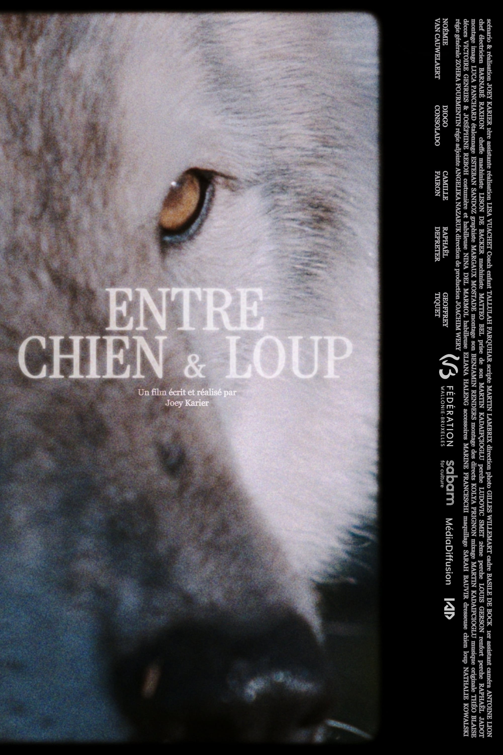ENTRE CHIEN & LOUP (2025) poster