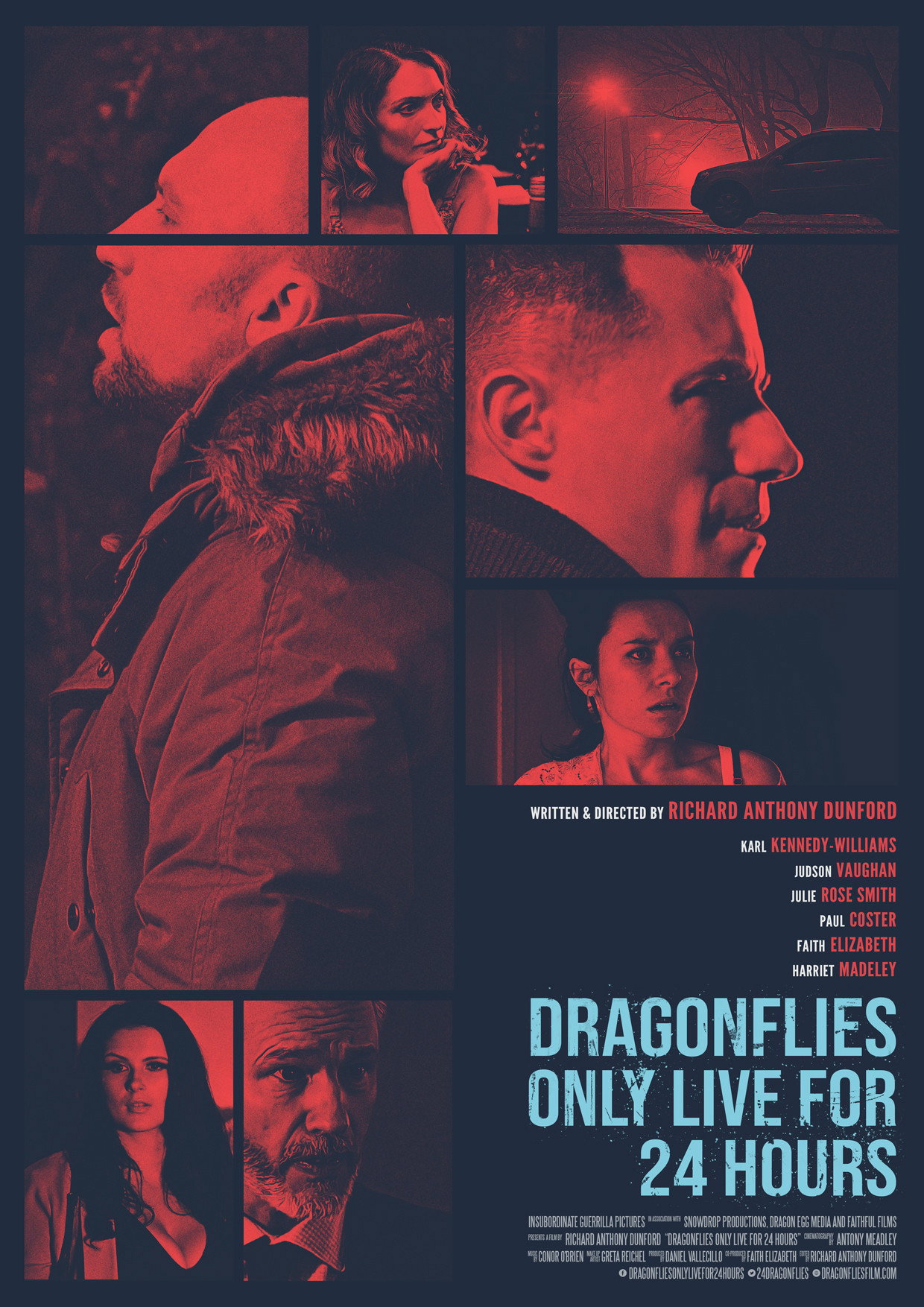 Dragonfiles Only Live for 24 Hours (2018) poster