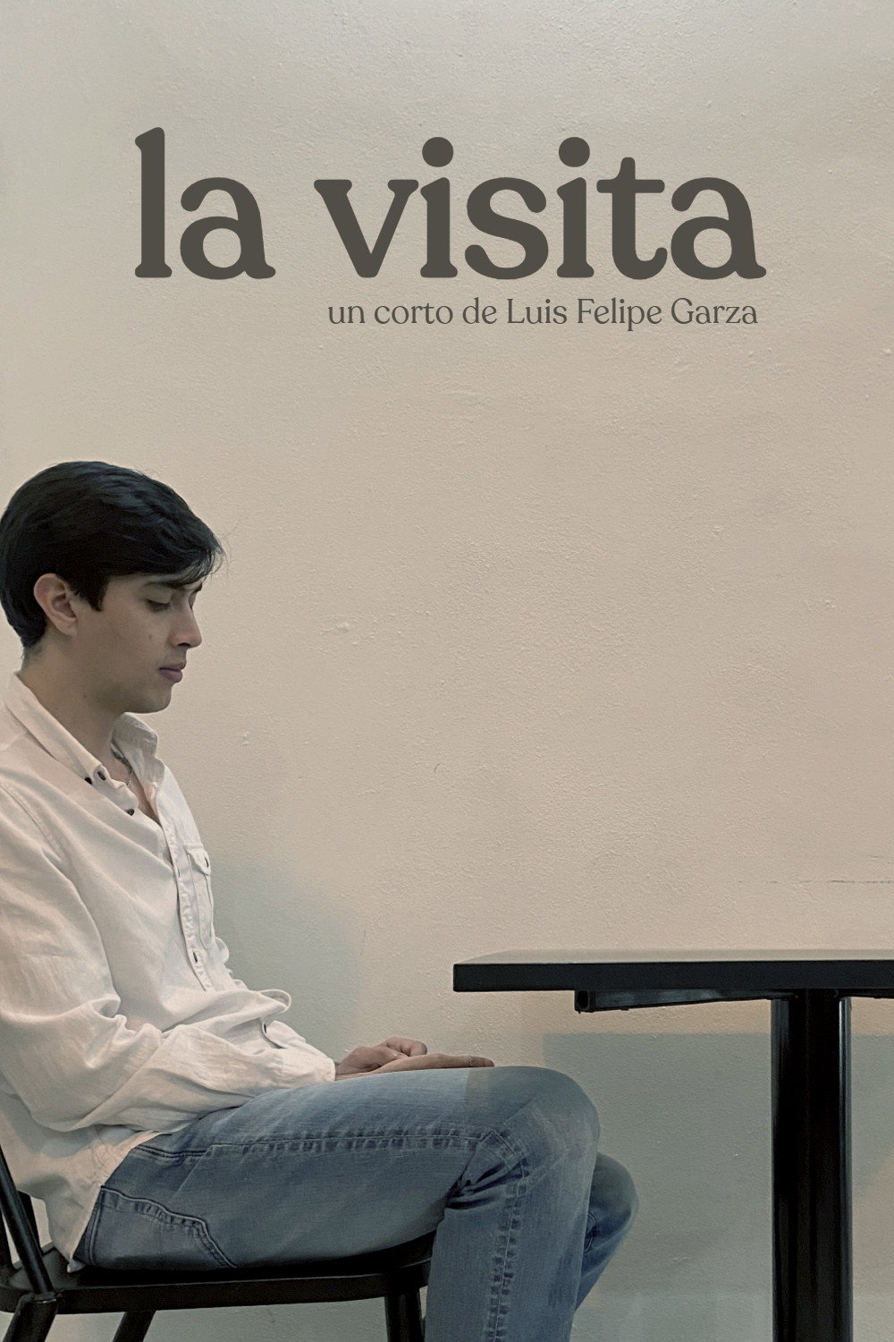 La Visita (2026) poster