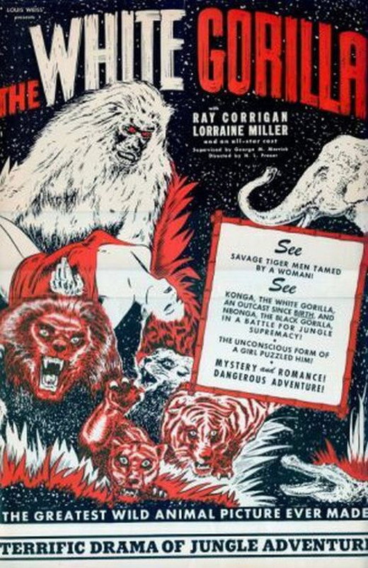 The White Gorilla (1945) poster