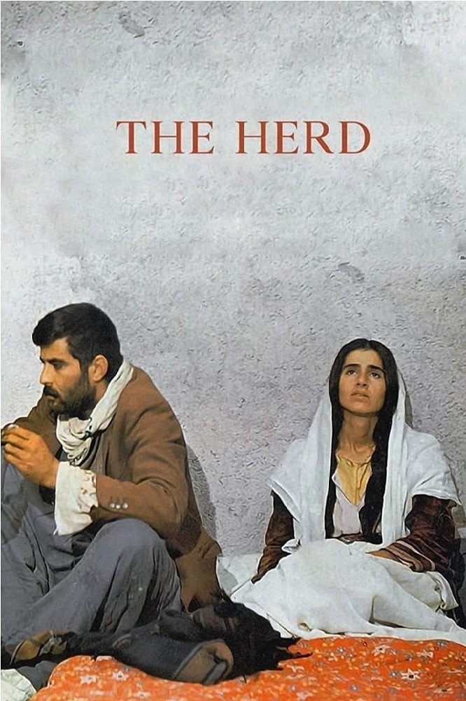 The Herd (1978) poster