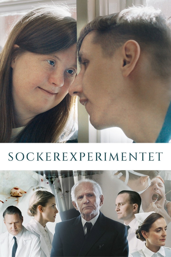 The Sugar Experiment (2023) poster
