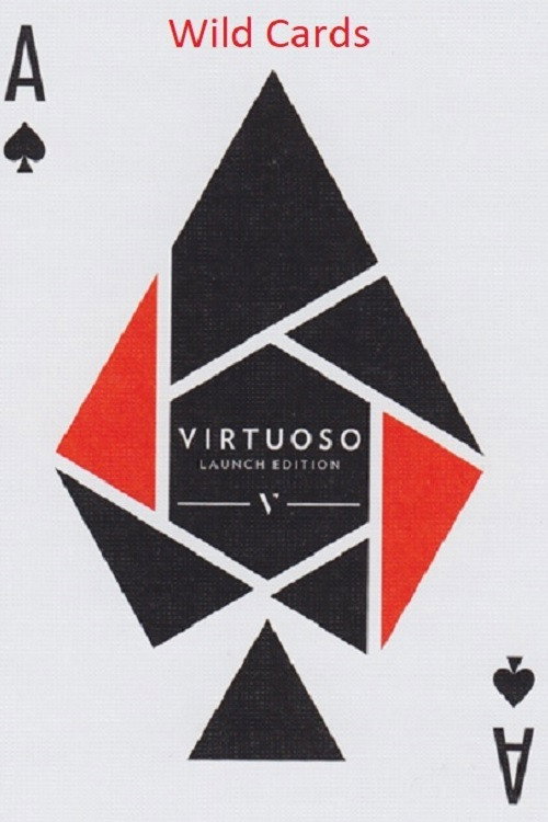 Wild Cards - The Artistry Of Playing Cards (2016) poster