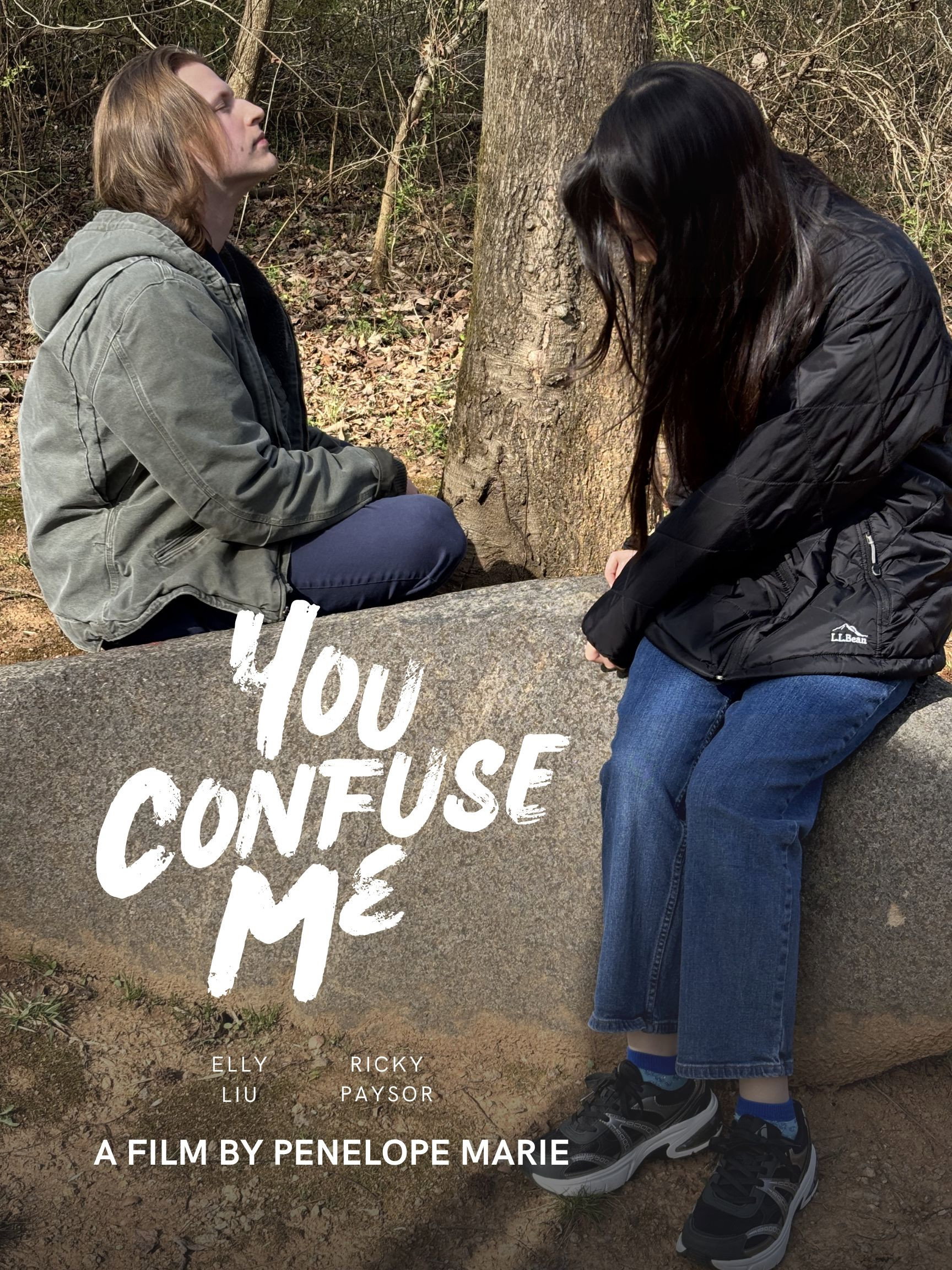 You Confuse Me (2026) poster