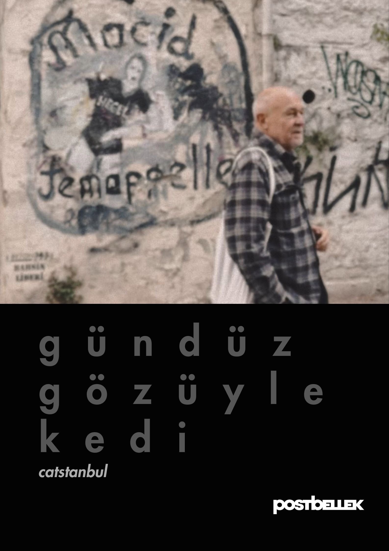 Catstanbul (2025) poster