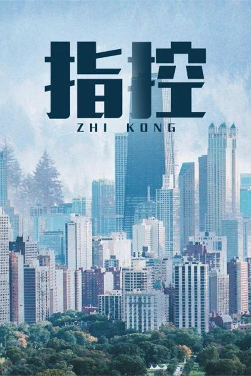 指控 (2005) poster