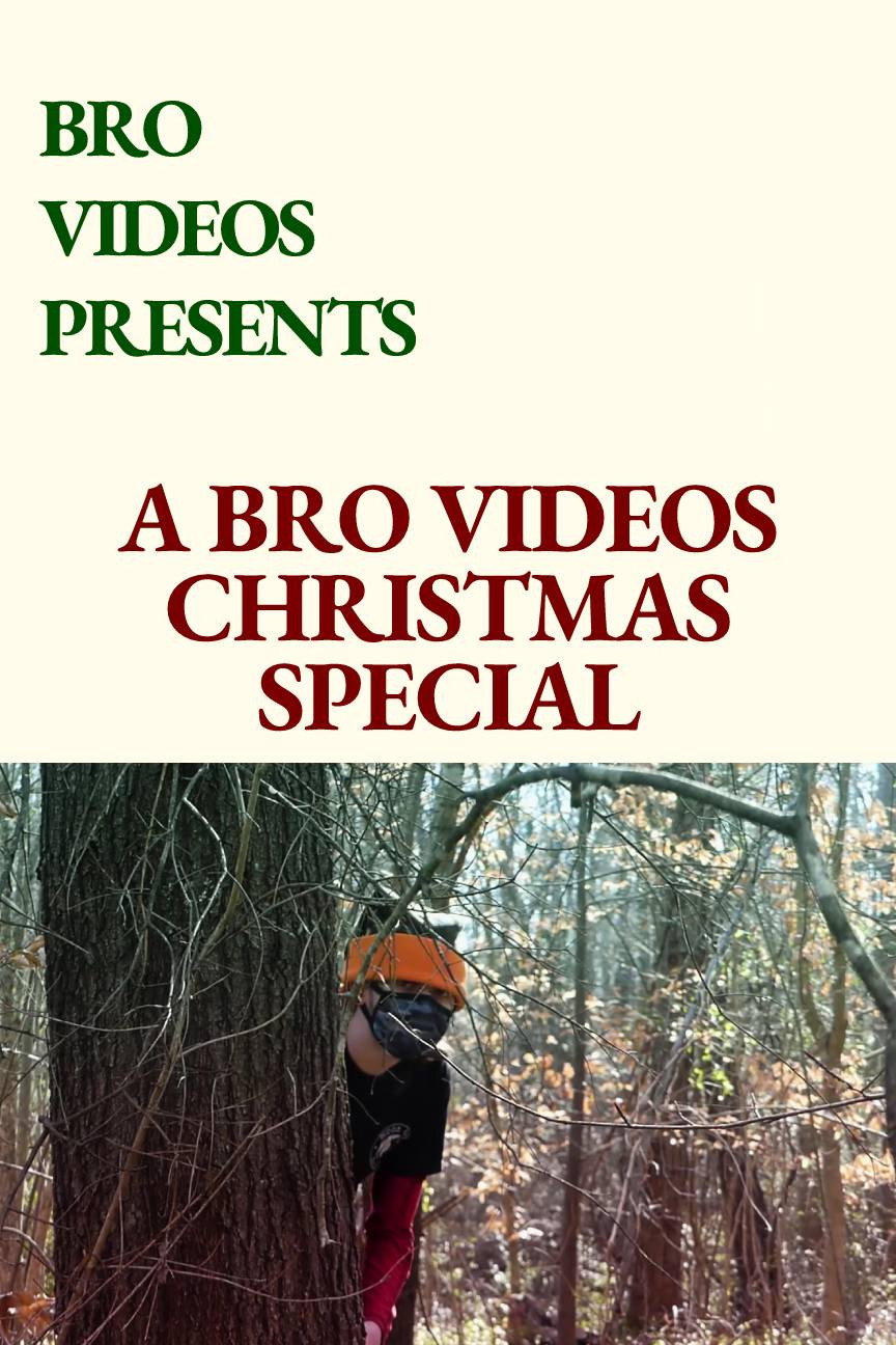A Bro Videos Christmas Special (2020) poster