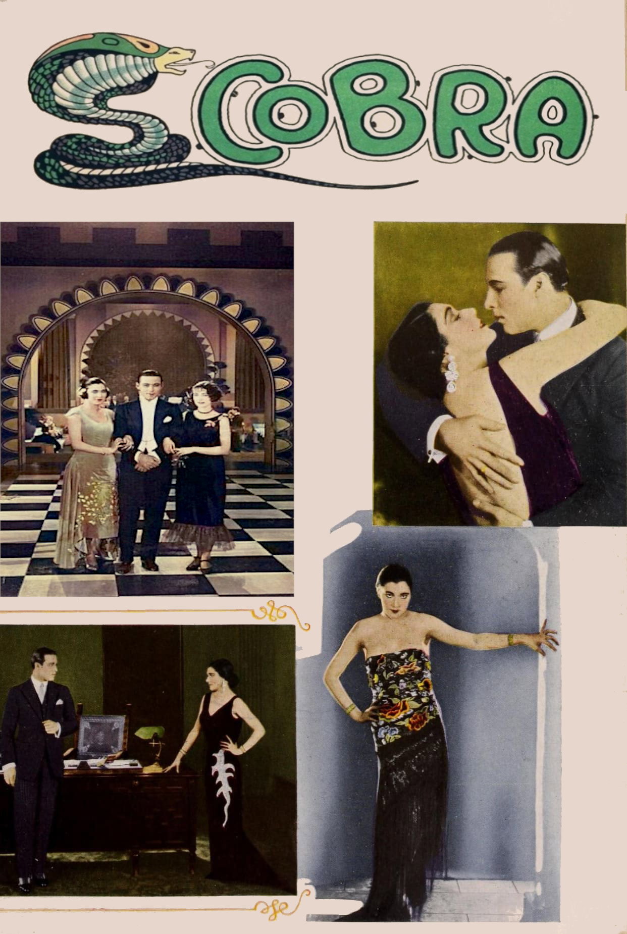Cobra (1925) poster